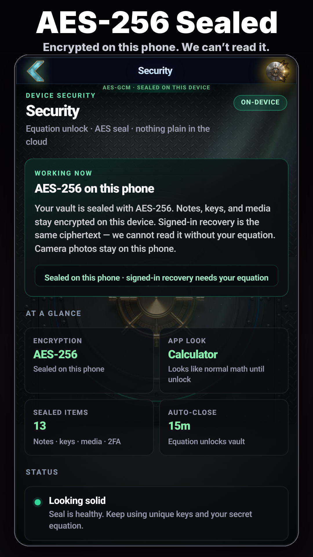 Lock It AES-256 security screen